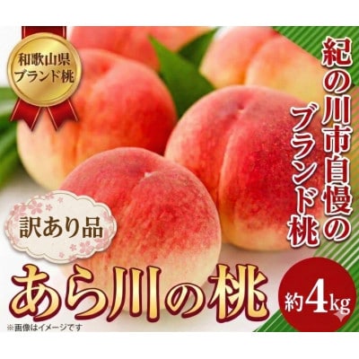 あら川の桃 (訳あり) 約4kg ご家庭用(8品種の中からその時期旬の桃をお届け)
