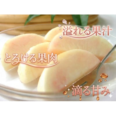 あら川の桃 (訳あり) 約4kg ご家庭用(8品種の中からその時期旬の桃をお届け)