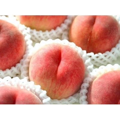 あら川の桃 (訳あり) 約2kg ご家庭用(8品種の中からその時期旬の桃をお届け)