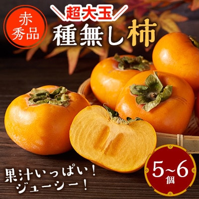 先行受付!　柿　種無し　赤秀品　超大玉　5～6個