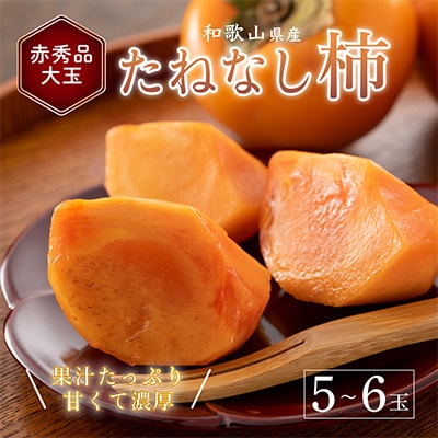 先行受付!　柿　種無し　赤秀品　超大玉　5～6個