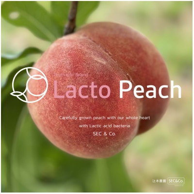 Lacto Peach(ラクトピーチ) 乳酸菌で大切に育てた【あら川の桃】約2kg (5〜7玉入り)