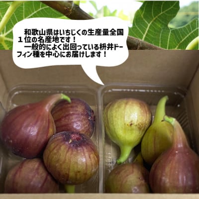 いちじく 2パック(約600g) 和歌山県 紀の川市産