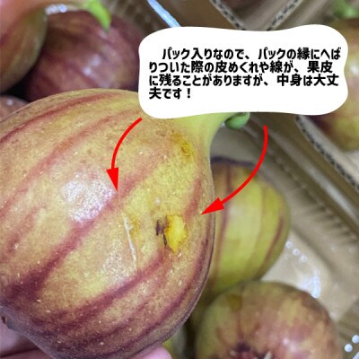 いちじく 2パック(約600g) 和歌山県 紀の川市産