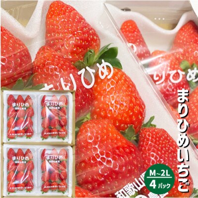 まりひめいちごレギュラーサイズ(M～2L)4パック