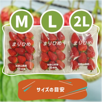 まりひめいちごレギュラーサイズ(M～2L)4パック