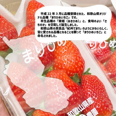 まりひめいちごレギュラーサイズ(M～2L)4パック