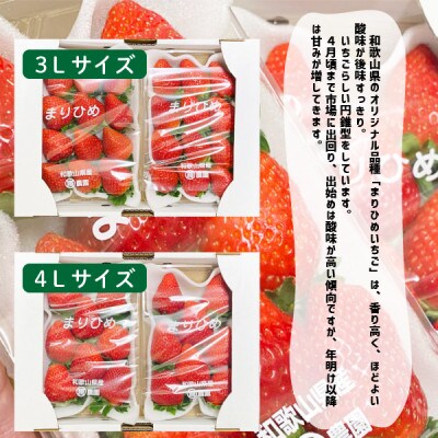 まりひめいちごデラックスサイズ(3L～4L)4パック