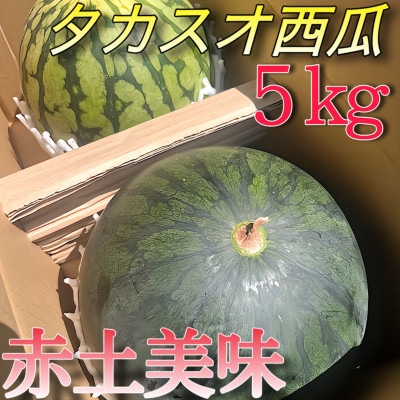 和歌山県紀の川市産タカスオ西瓜 小玉2個 約5kg
