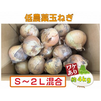 【訳あり】 農家さん直送 低農薬玉ねぎ 約4kg S～2L混合【6月中旬～7月中旬発送予定】