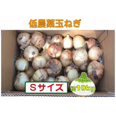 農家さん直送 低農薬玉ねぎ Sサイズ 約10kg 【6月中旬～7月中旬発送予定】