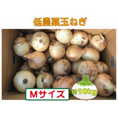 農家さん直送 低農薬玉ねぎ Mサイズ 約10kg 【6月中旬～7月中旬発送予定】