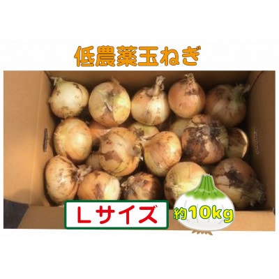 農家さん直送 低農薬玉ねぎ Lサイズ 約10kg 【6月中旬～7月中旬発送予定】
