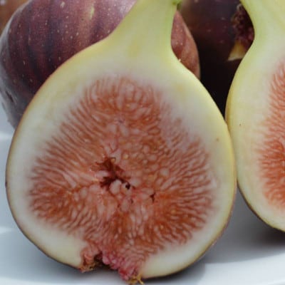 【訳あり・ご家庭用】和歌山県紀の川市産 完熟いちじく 約800g(400g×2パック)フードロス削減