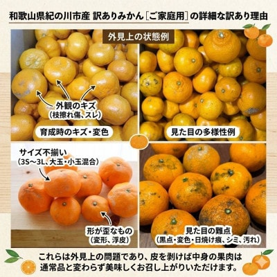 【訳あり・ご家庭用】和歌山県紀の川市産 みかん(温州みかん)約5kg