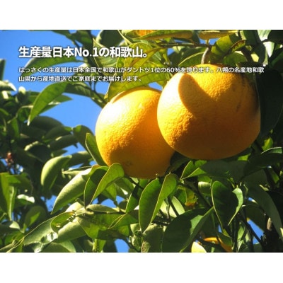 【訳あり・ご家庭用】和歌山県紀の川市産 はっさく(八朔)約10kg
