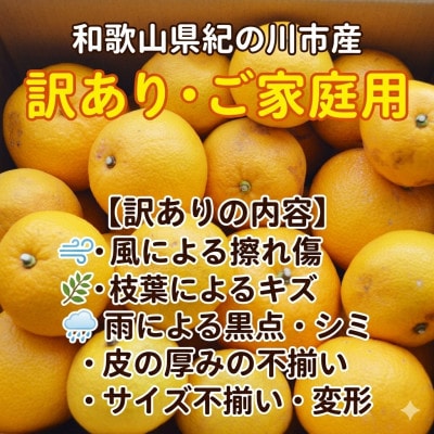 【訳あり・ご家庭用】和歌山県紀の川市産 はっさく(八朔)約10kg