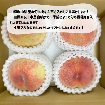 旬の桃 秀品 4玉 和歌山県紀の川市