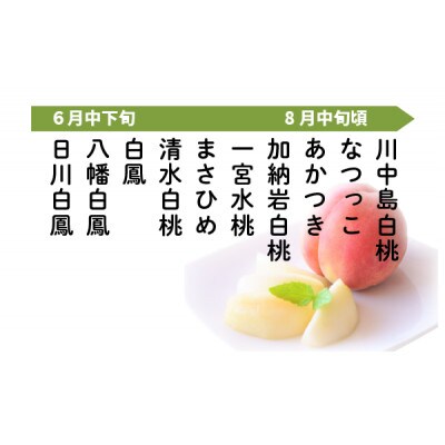 旬の桃 秀品 4玉 和歌山県紀の川市