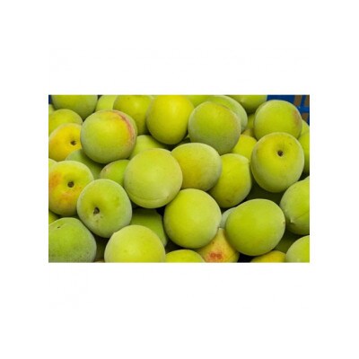 秀品 南高梅 3L以上(青梅)約7kg