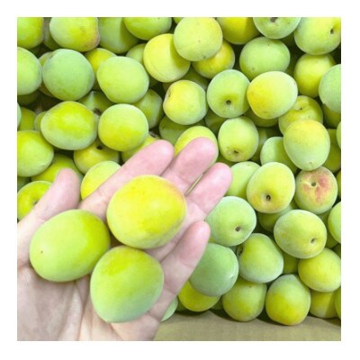 秀品 南高梅 3L以上(青梅)約9kg