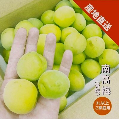 (訳あり)南高梅 3L以上(青梅)約3kg