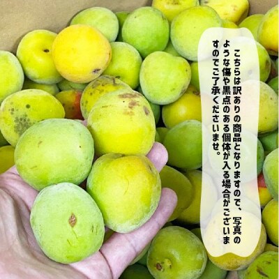 (訳あり)南高梅 3L以上(青梅)約3kg