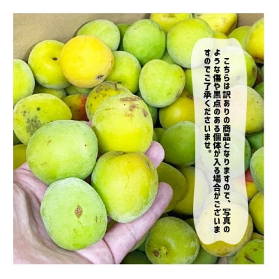 (訳あり)南高梅 3L以上(青梅)約6kg