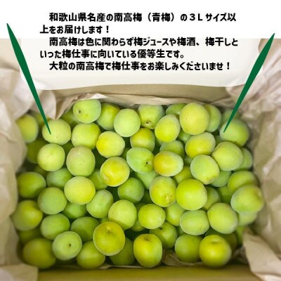 (訳あり)南高梅 3L以上(青梅)約9kg