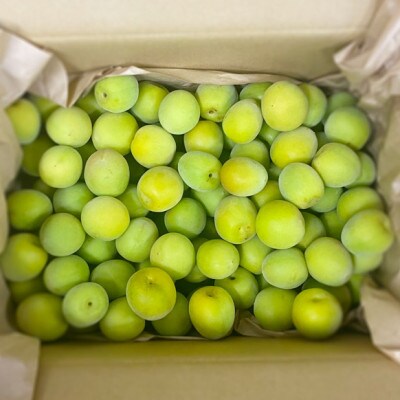 【秀品】南高梅 (青梅) 2L以下 約1kg