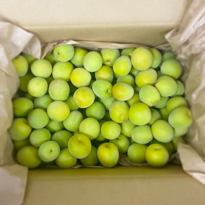 【秀品】南高梅 (青梅) 2L以下 約3kg