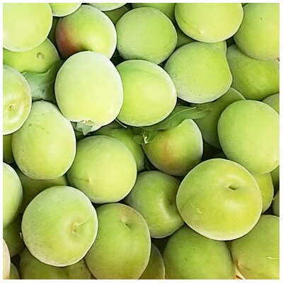 【秀品】南高梅 (青梅) 2L以下 約5kg