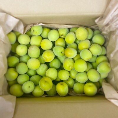 【秀品】南高梅 (青梅) 2L以下 約5kg