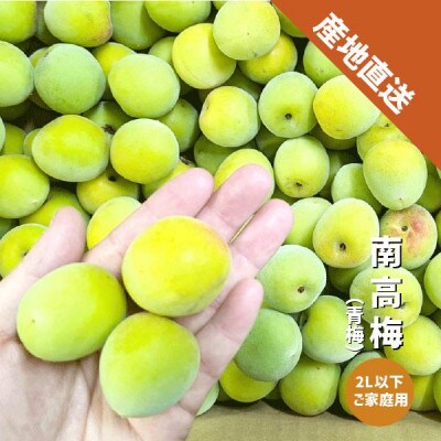 【秀品】南高梅 (青梅) 2L以下 約10kg