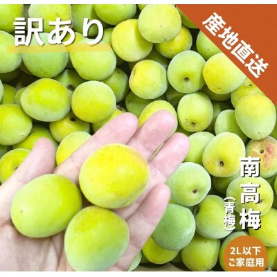 【訳あり】南高梅 (青梅) 2L以下 約3kg