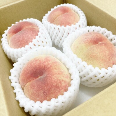 【訳あり】桃 品種おまかせ 4玉