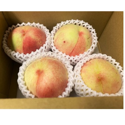【訳あり】桃 品種おまかせ 4玉