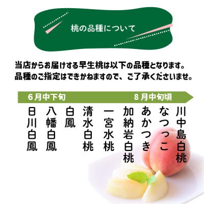 【訳あり】桃 品種おまかせ 4玉