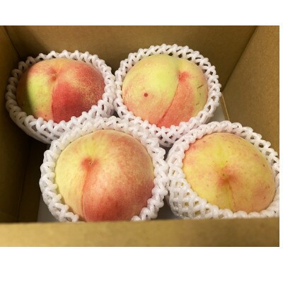 【訳あり】桃 品種おまかせ 約2kg