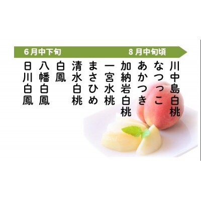 【訳あり】桃 品種おまかせ 約2kg