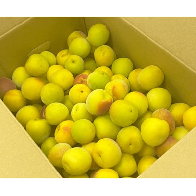 【秀品】南高梅 (完熟) 3L以上 約5kg