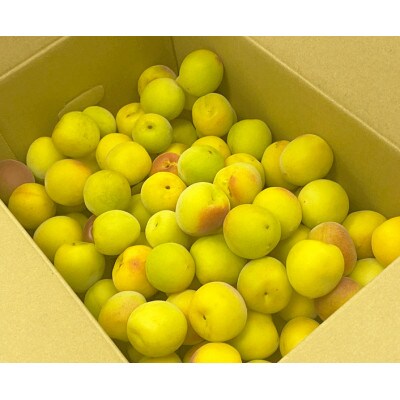 【秀品】南高梅 (完熟) 3L以上 約3kg