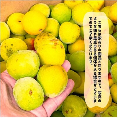 【訳あり】南高梅 (完熟) 2L以下 約5kg