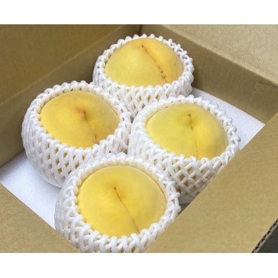 【さとふる限定】【秀品】旬の黄桃 紀の川市より直送 4玉