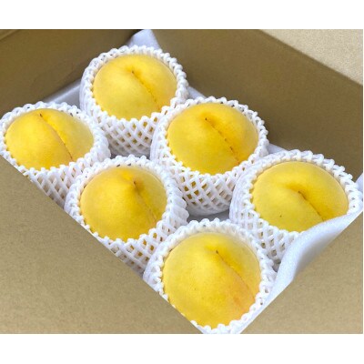 【さとふる限定】【秀品】旬の黄桃 紀の川市より直送 約2kg