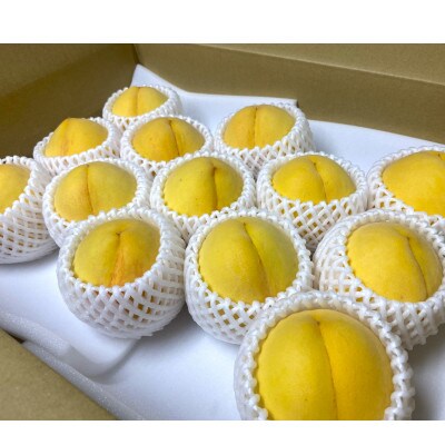 【さとふる限定】【秀品】旬の黄桃 紀の川市より直送 約4kg