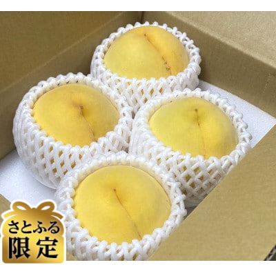 【さとふる限定】【訳あり】旬の黄桃 紀の川市より直送 4玉