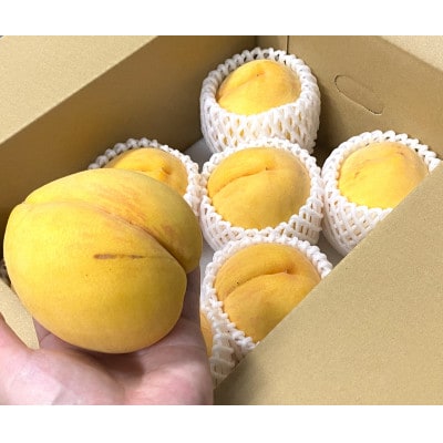 【さとふる限定】【訳あり】旬の黄桃 紀の川市より直送 4玉