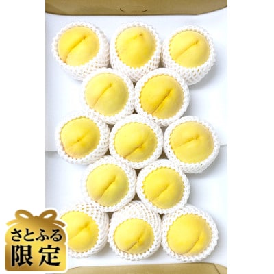 【さとふる限定】【訳あり】旬の黄桃 紀の川市より直送 約4kg