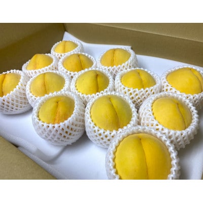 【さとふる限定】【訳あり】旬の黄桃 紀の川市より直送 約4kg